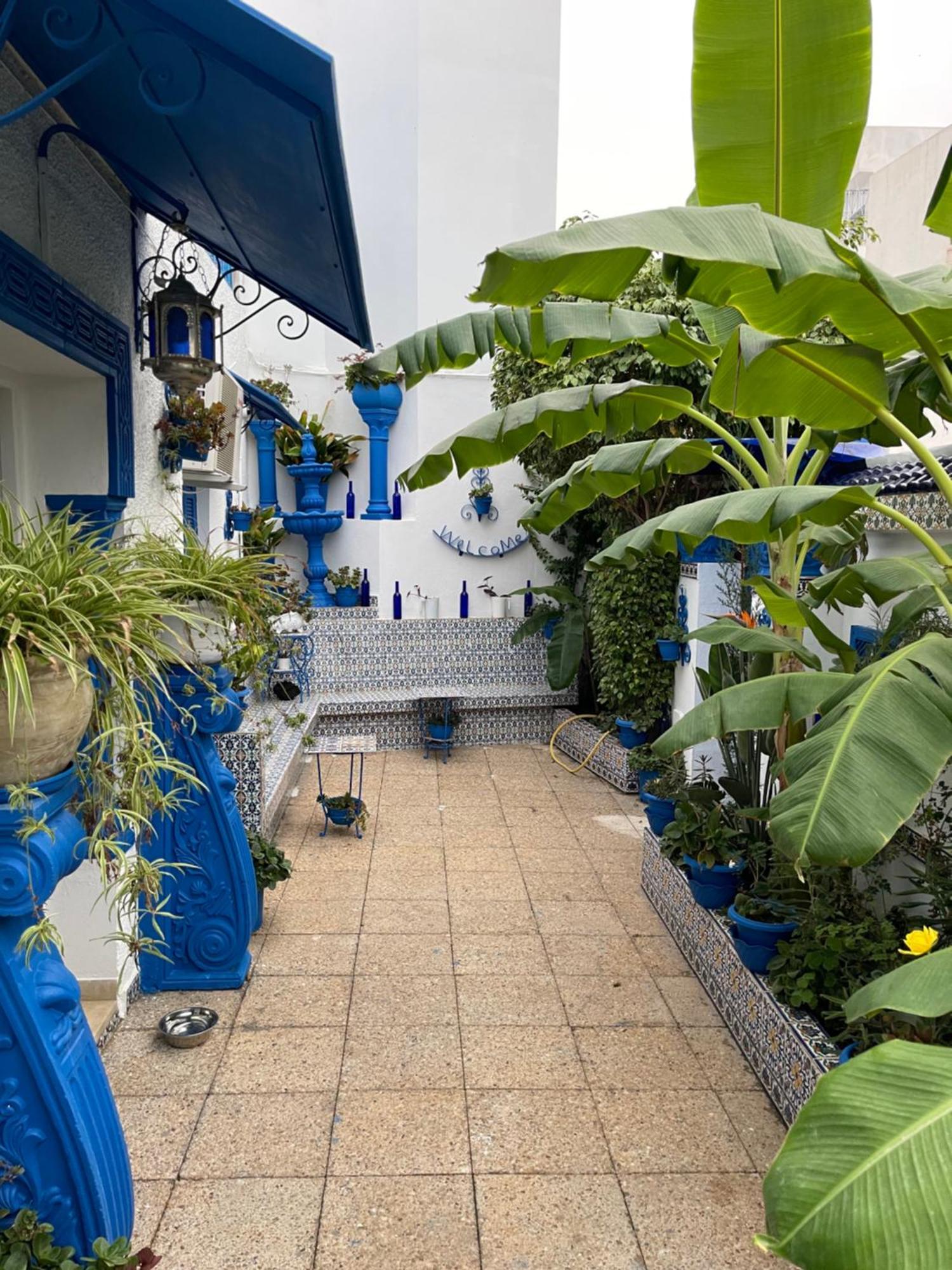 Villa The Blue And White Perle Sidi Bou Ali Exterior foto