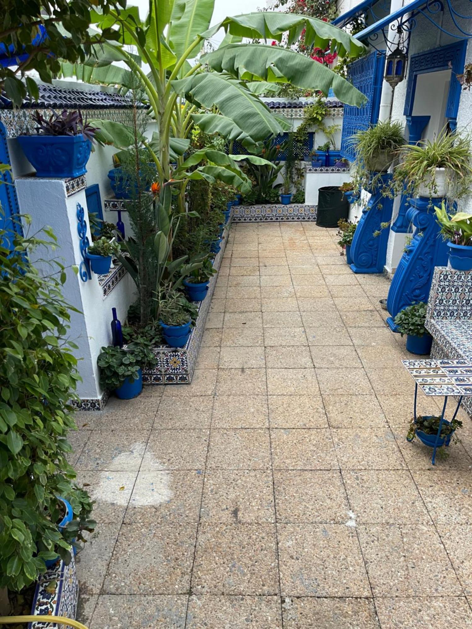 Villa The Blue And White Perle Sidi Bou Ali Exterior foto