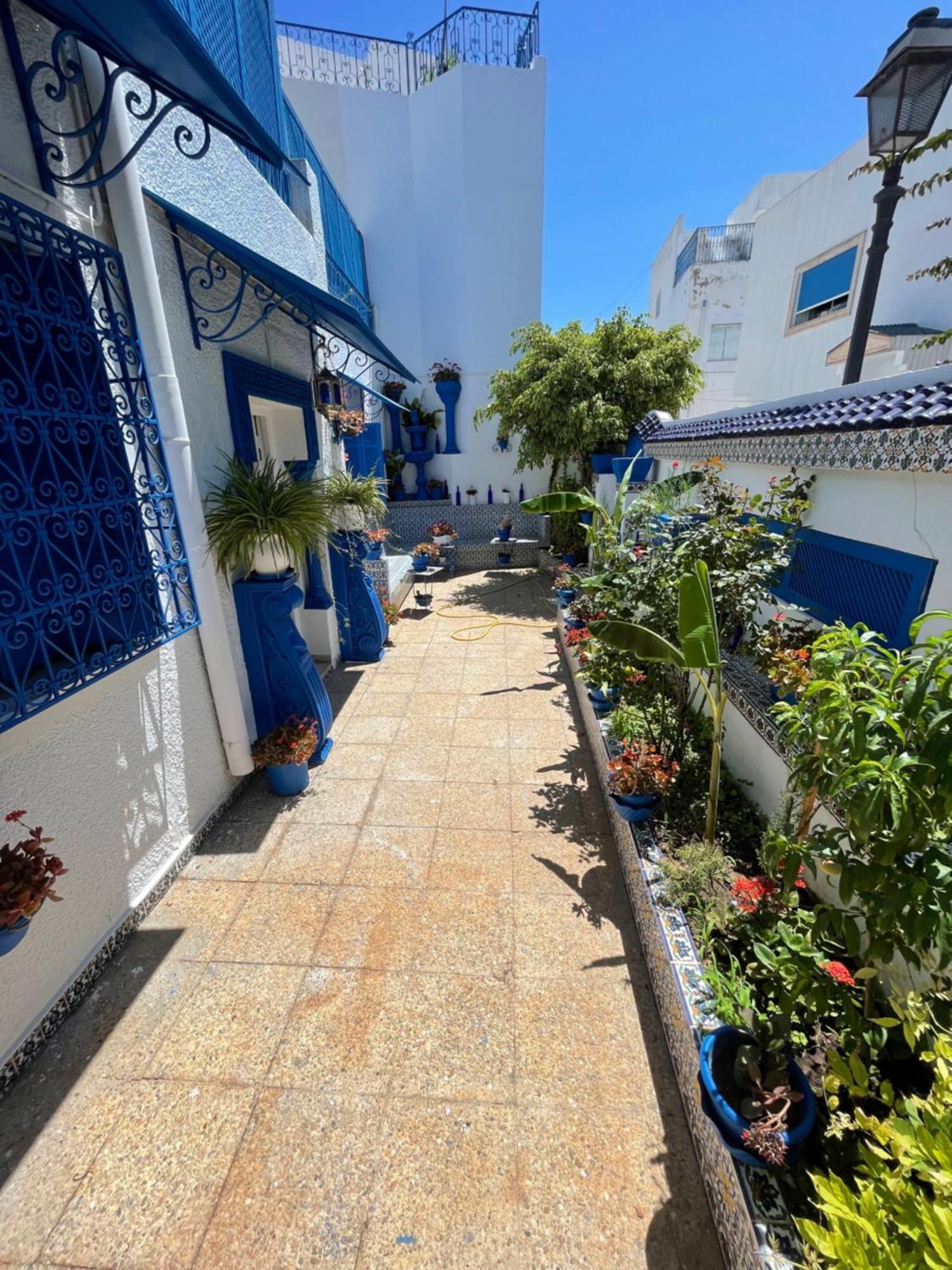 Villa The Blue And White Perle Sidi Bou Ali Exterior foto